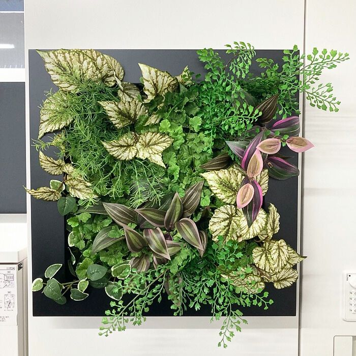 フェイクグリーン 壁掛け用 マグネットタイプ 中古